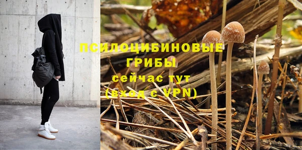 бошки Бронницы