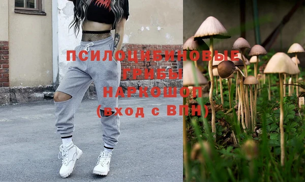 бошки Бронницы