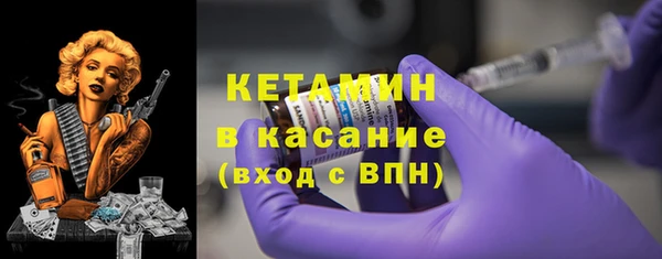 амф Бородино