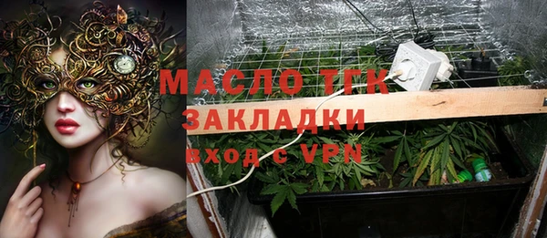 бошки Бронницы