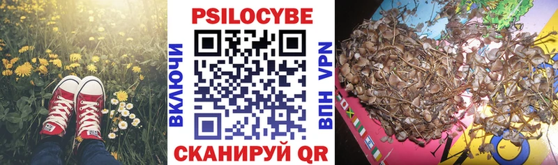 Галлюциногенные грибы Magic Shrooms  Кингисепп 